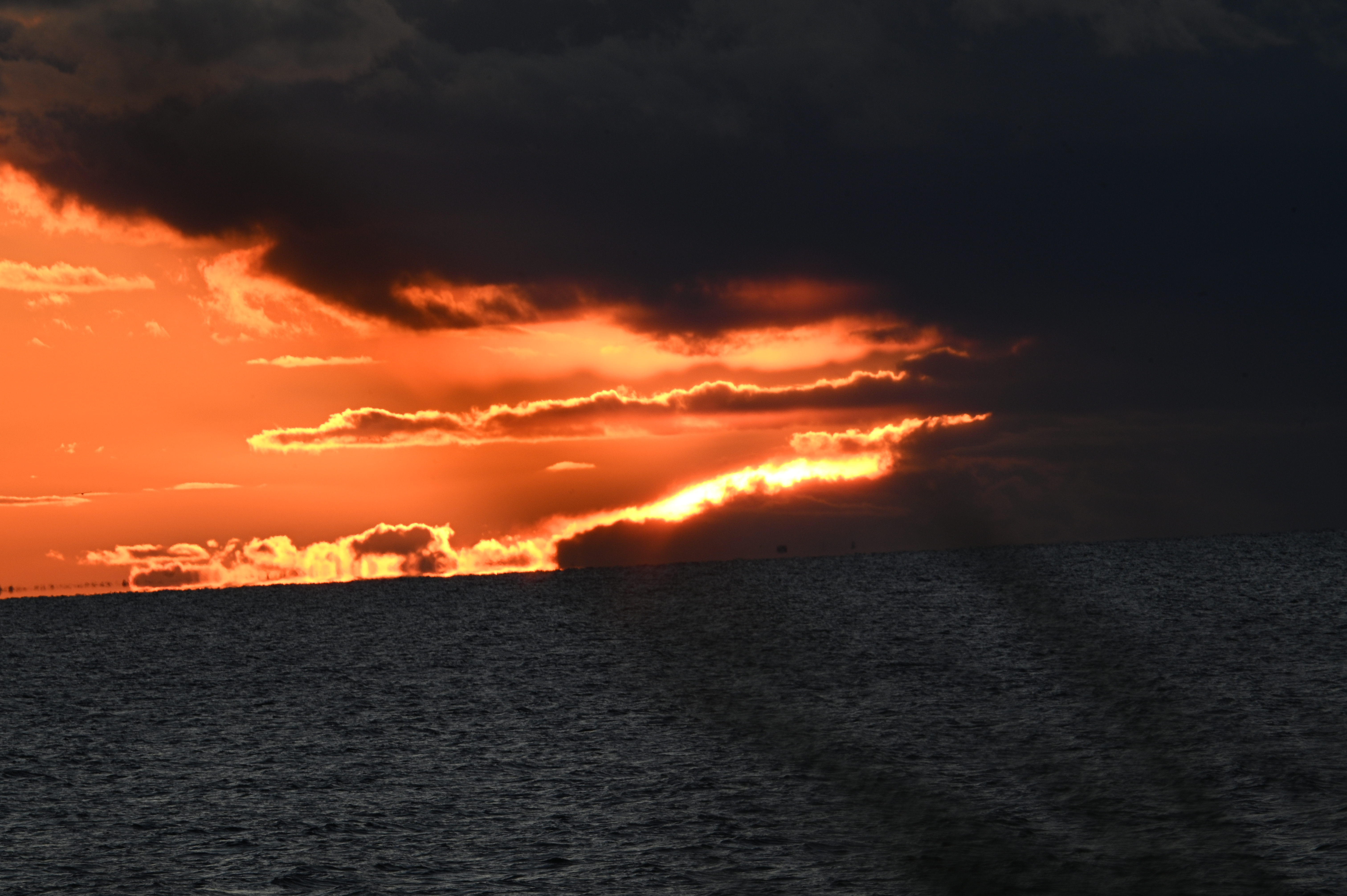 2025/10/18 - walk/DSC_0502.JPG